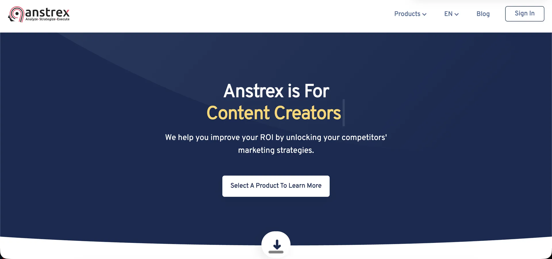 Anstrex interface overview