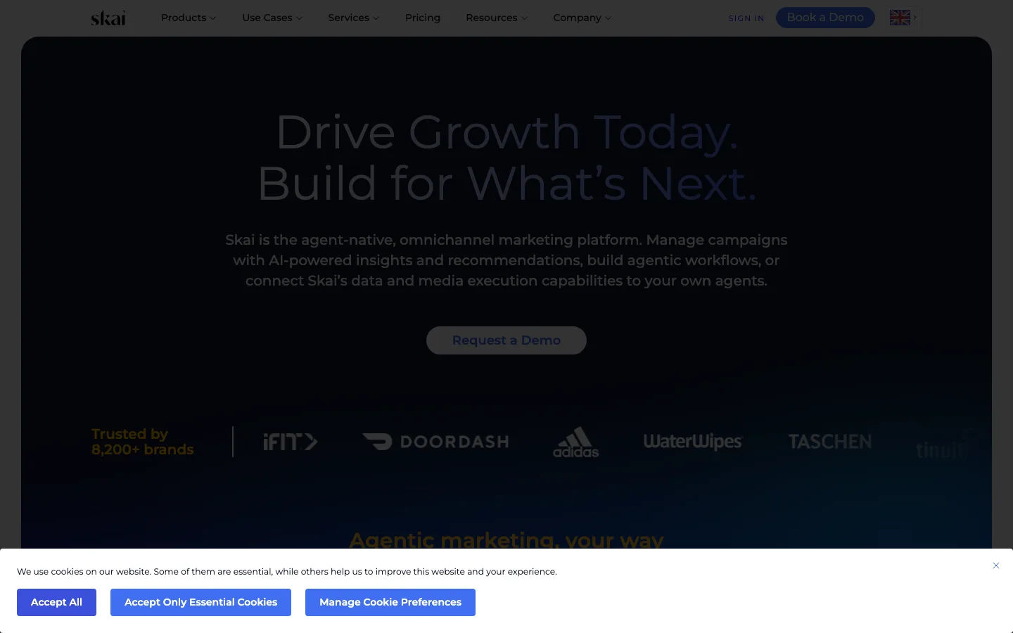 Skai homepage describing an omnichannel marketing platform