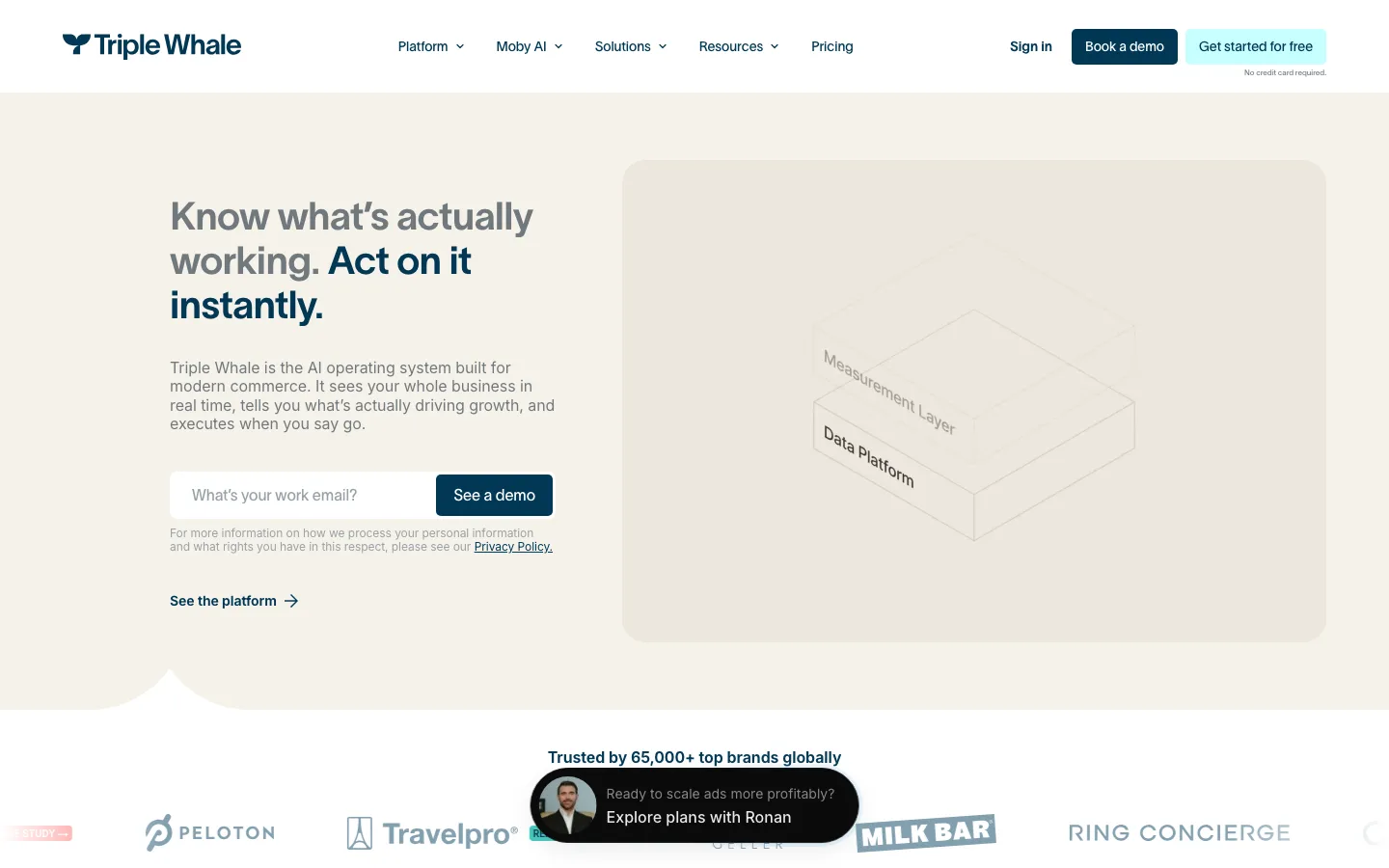 Triple Whale homepage, the AI operating system for modern commerce