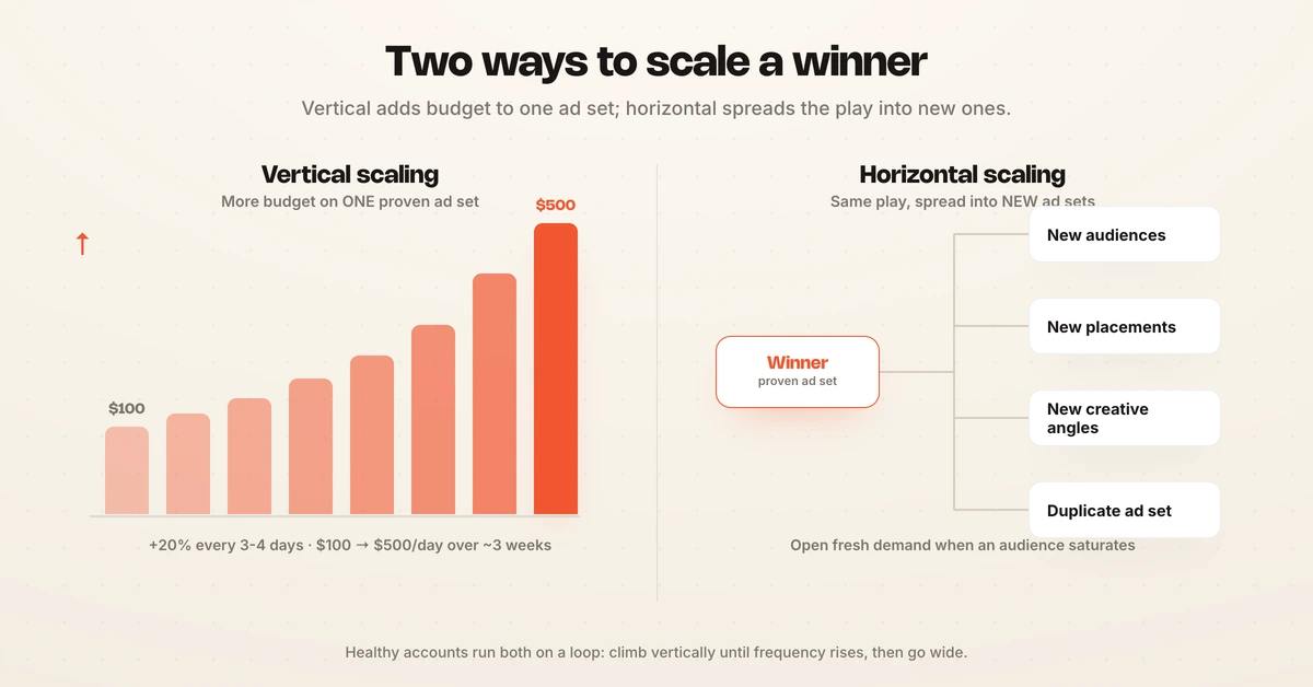 Two-column diagram comparing vertical scaling of Facebook ads by raising budget about 20% every few days against horizontal scaling through duplicated ad sets, new audiences, placements, and creative